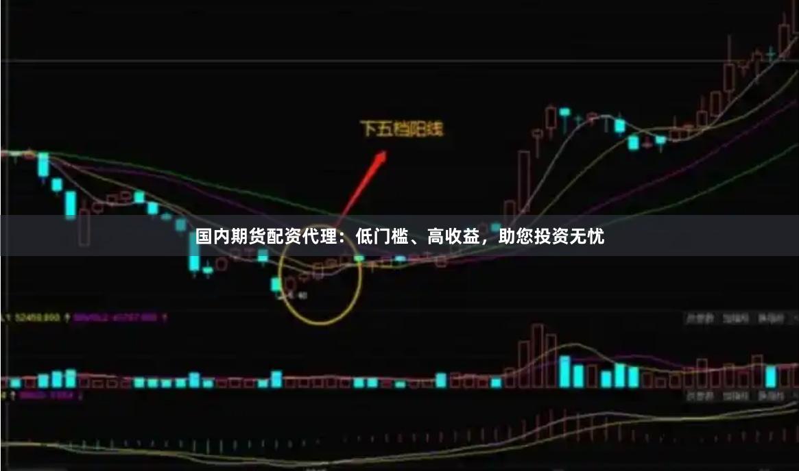 国内期货配资代理：低门槛、高收益，助您投资无忧