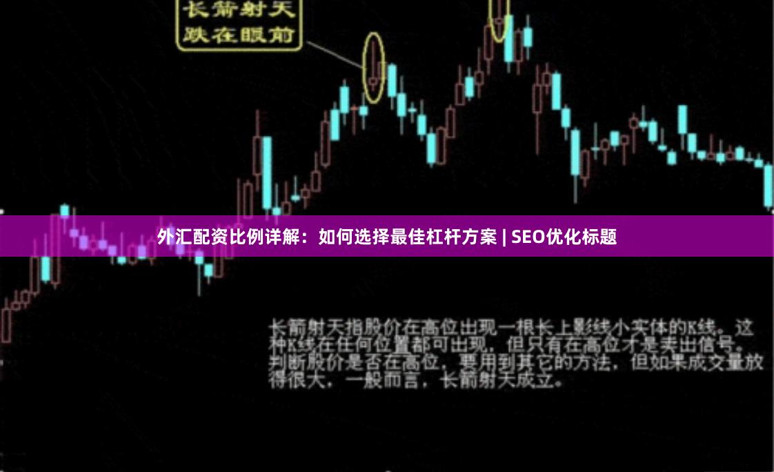 外汇配资比例详解：如何选择最佳杠杆方案 | SEO优化标题