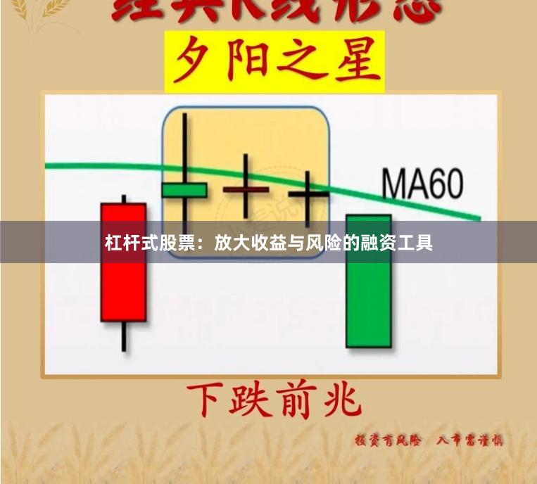 杠杆式股票：放大收益与风险的融资工具