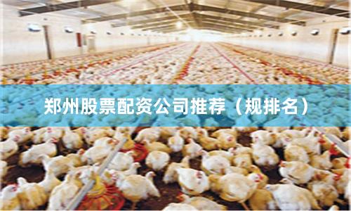郑州股票配资公司推荐（规排名）